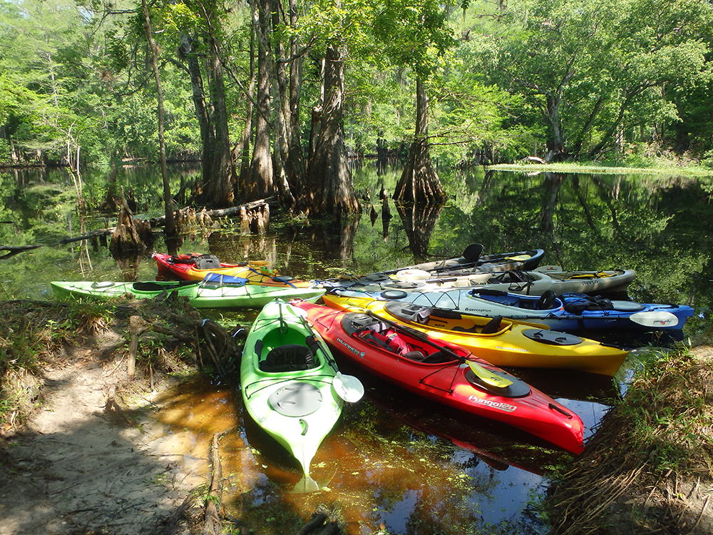 Sandy Oaks RV Resort Passport America Camping & RV Club