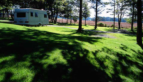 Southern Oaks RV Resort