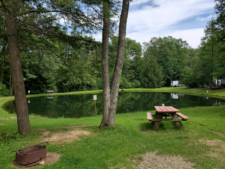 White's Haven Campground & Cabins Passport America The ORIGINAL 50