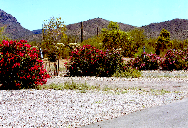Justin's Diamond J RV Park
