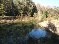 Mossy Oaks RV Park And Campground