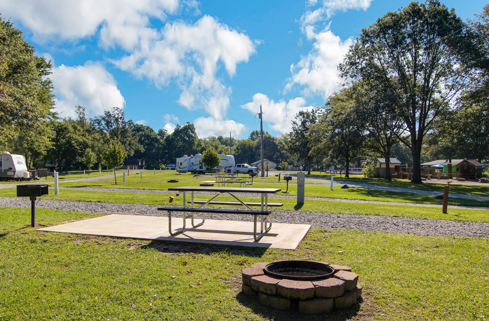 Yogi Bear's Jellystone Park Passport America The ORIGINAL 50