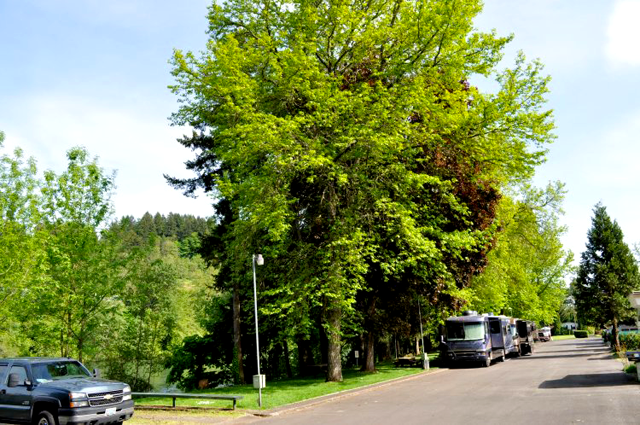 Shamrock Village RV And Mhp