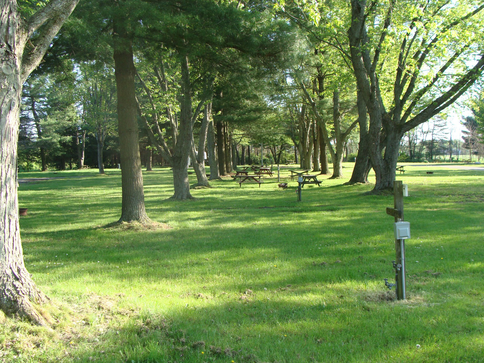 Yellow Lantern Kampground Passport America The ORIGINAL 50