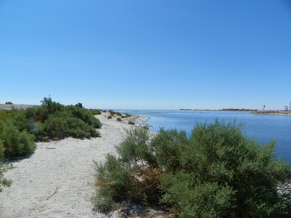 West Shores RV Park & Storage Passport America Camping & RV Club