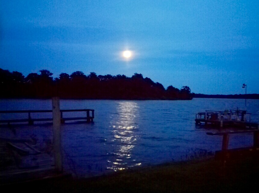 Shiloh On The Lake Passport America Camping & RV Club