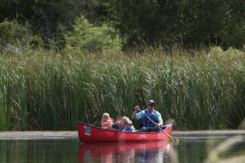 Lake Bastrop South Shore Park Passport America Camping & RV Club