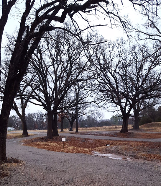 Arrowhead RV and Tiny House Park Passport America Camping & RV Club