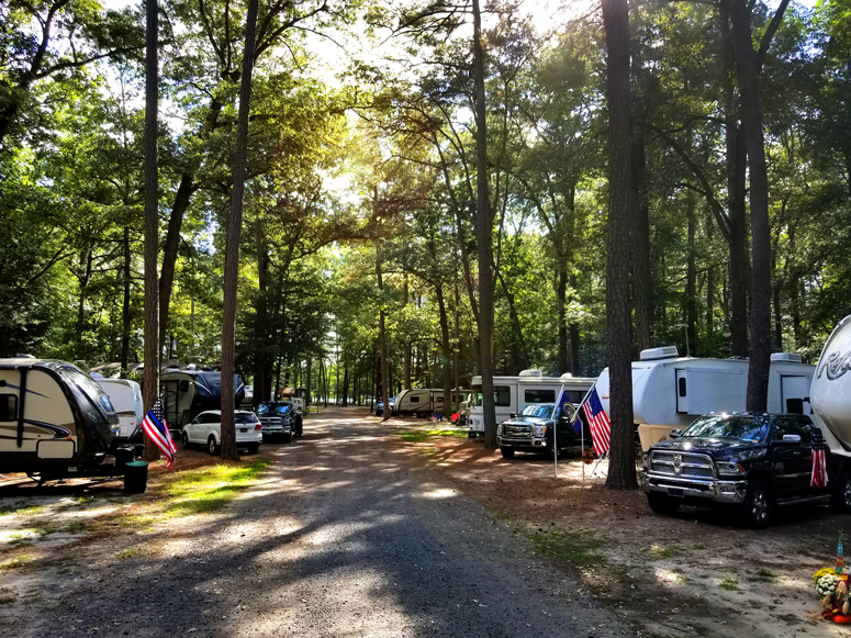 Trap Pond State Park Passport America The ORIGINAL 50 Discount