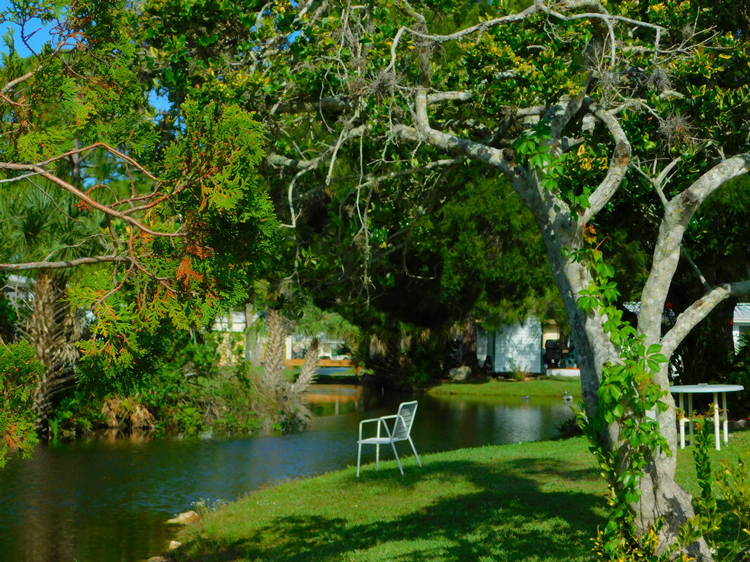 Oak Springs RV Resort Passport America Camping & RV Club