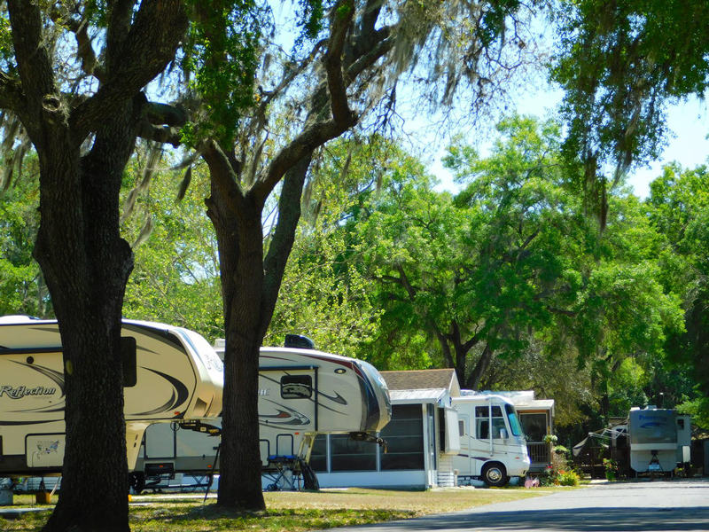 Palmview Gardens RV Resort Passport America Camping & RV Club
