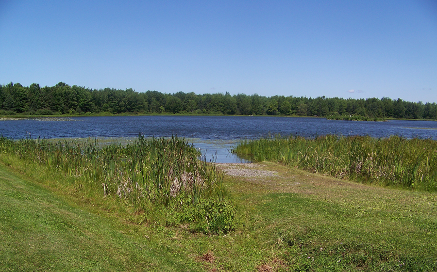 Chenango County Cook Park