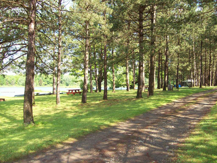 Chenango County Cook Park