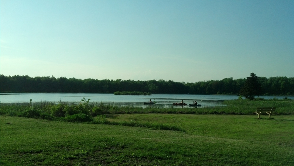 Chenango County Cook Park