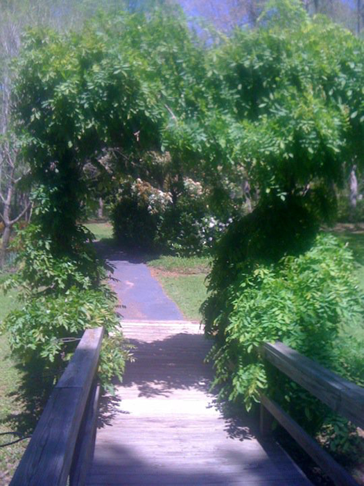 Creekwood Gardens Passport America Camping & RV Club