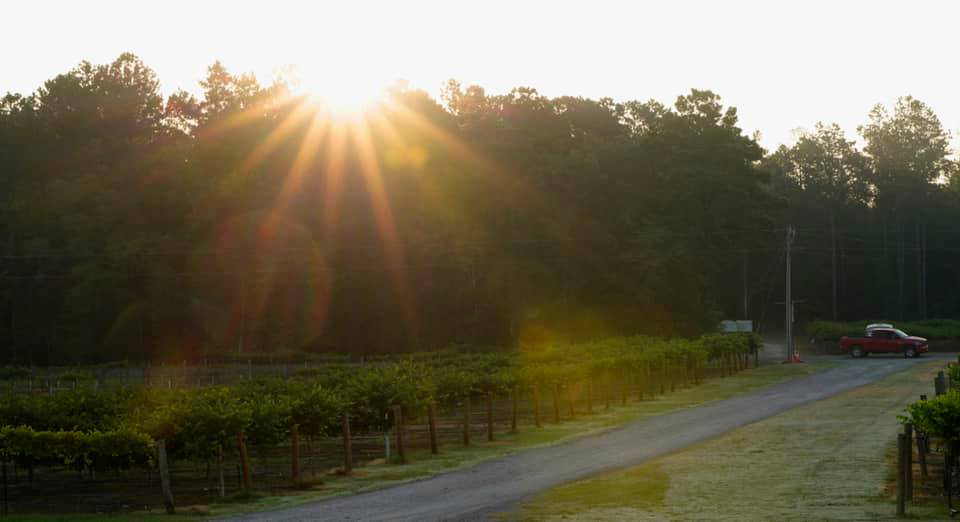 Cartersville Country Winery Passport America The ORIGINAL 50