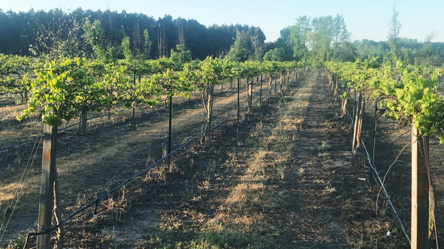 Cartersville Country Winery Passport America The ORIGINAL 50