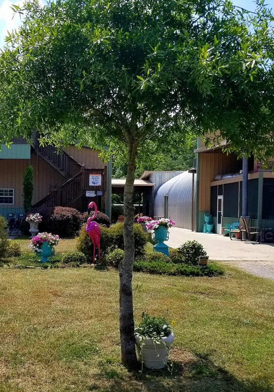 Cartersville Country Winery Passport America Camping & RV Club