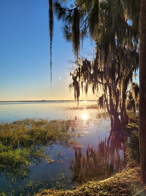 Oak Harbor RV Village, A Cove Resort Passport America The ORIGINAL