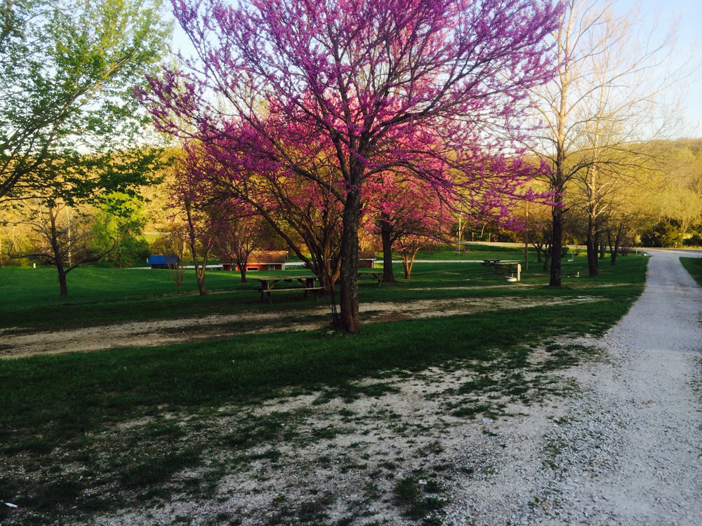 Laura Ingalls Wilder RV Park & Campground