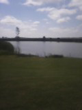Spot