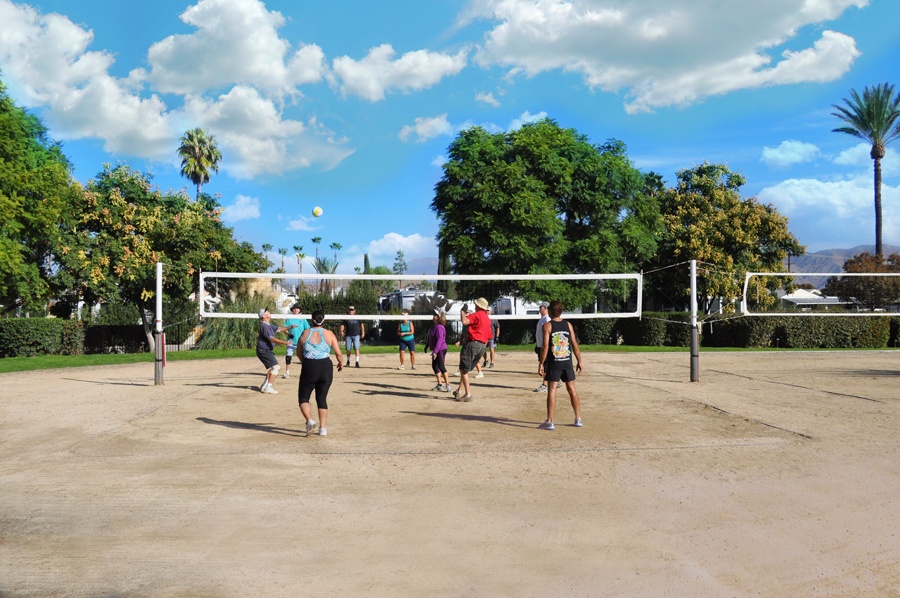 Golden Village Palms RV Resort - Passport America Camping ...