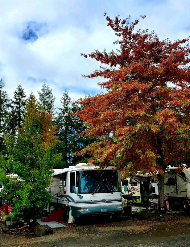 Elma RV Park Passport America The ORIGINAL 50 Discount Camping